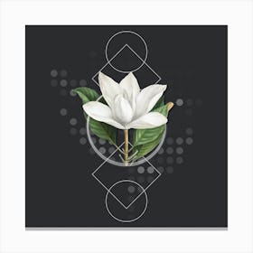 Vintage White Southern Magnolia Botanical with Geometric Line Motif and Dot Pattern n.0075 Canvas Print