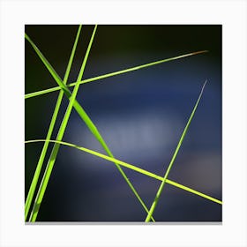  Grass Abstract Canvas Print