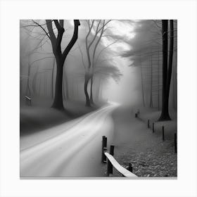 Road In The Fog Canvas Print