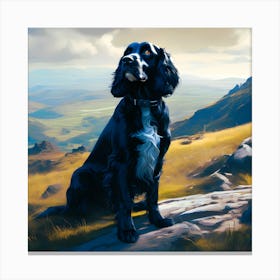 Springer Spaniel Canvas Print