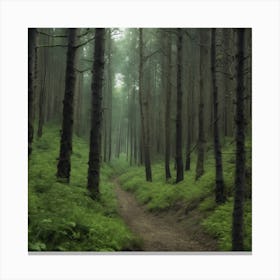 Foggy Forest Path 2 Canvas Print