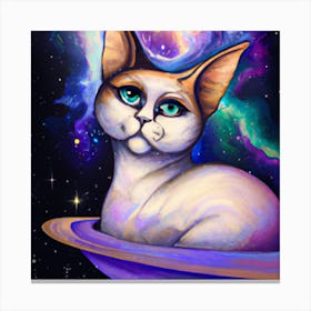 Magical Cat 14 Canvas Print