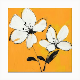 Two White Flowers Canvas Print