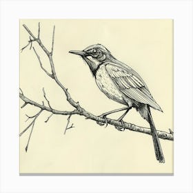 Bird On A Branch 3 Canvas Print