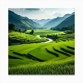 Rice Fields In Vietnam 2 Canvas Print