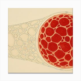 Cell Structure Canvas Print