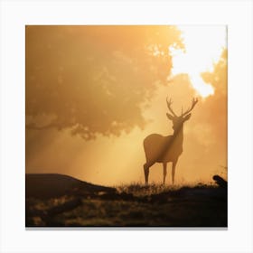 Deer Silhouette In Autumn Forest Canvas Print