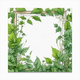 Frame With Ivy 1 Canvas Print