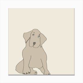 Dog Softy  Canvas Print