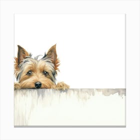 Silky Terrier 1 Canvas Print