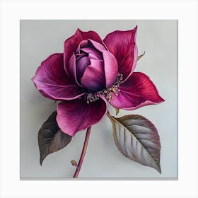 Burgundy Bloom: Realistic Botanical Art Print of a Single Rose Flower Canvas Print