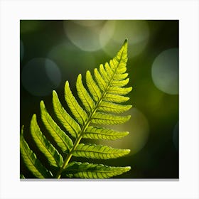 Fern Leaf 1 Canvas Print