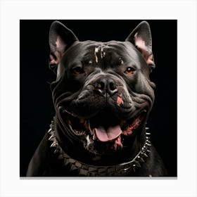 Black pitt Canvas Print