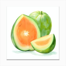 Melon Canvas Print