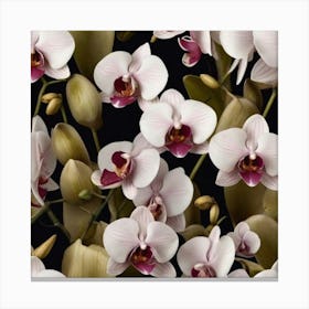 Orchids 3 Canvas Print