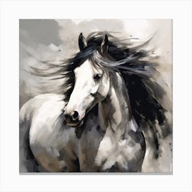 Molly Horse Canvas Print