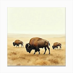 Bison 1 Canvas Print