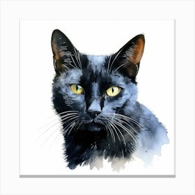 California Spangled Black Cat Portrait 3 Canvas Print