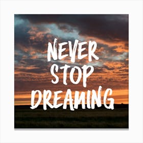 Never Stop Dreaming 2 Canvas Print