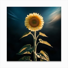 Sunflower Canvas Print