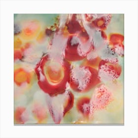 Nectarine - A juicy and luscious artwork that celebrates the natural beauty of this succulent fruit. Through its vivid colours and rich textures, this piece captures the essence of a ripe nectarine, tantalizing the senses with its sweetness and juiciness. Canvas Print