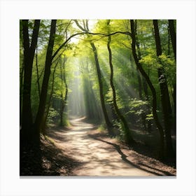 Sunbeams In The Forest Canvas Print