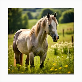 Horse In The Field 5 Canvas Print
