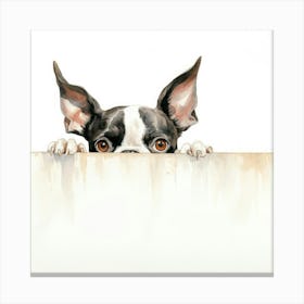 Boston Terrier Terrier Canvas Print