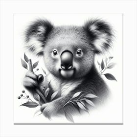 Koala 2 Canvas Print