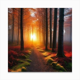 Sunrise In The Forest 27 Canvas Print