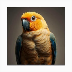 Parrot Portrait Canvas Print