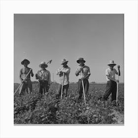Twin Falls County, Idaho, Fsa (Farm Security Administration) Workers Camp, Japanese Farm Workers By Russell Lee Canvas Print