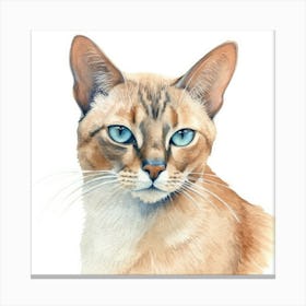 Thai Cat Portrait 1 Canvas Print