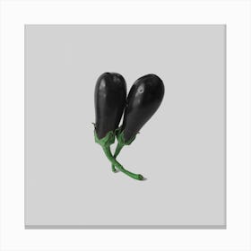 Eggplants Canvas Print