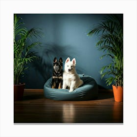 Two Dogs On A Bean Bag Stampe su tela