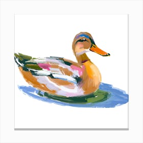 Duck 02 Canvas Print