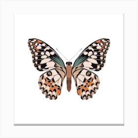 Mariposa Butterfly Square Canvas Print