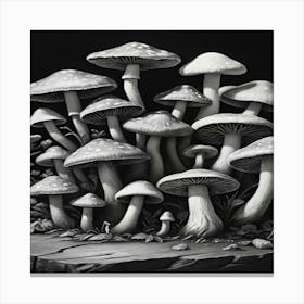 Mushrooms On A Rock Canvas Print