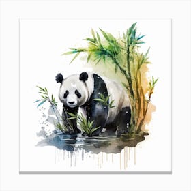 Panda Bear 10 Canvas Print