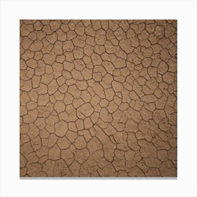 Dry Cracked Earth 1 Canvas Print