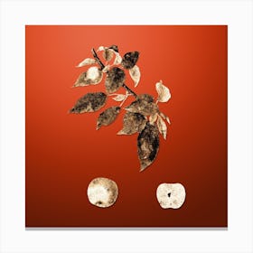 Gold Botanical Apple on Tomato Red Canvas Print