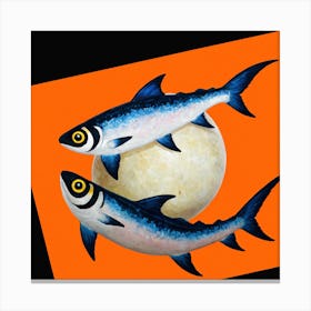 Moon Fish Canvas Print