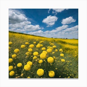 Field Of Yellow Flowers 1 Canvas Print