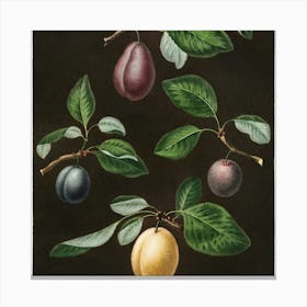 Plums On A Branch Canvas Print