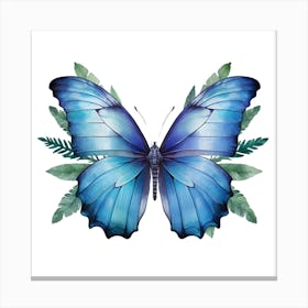 Blue Butterfly Canvas Print