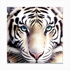 White Tiger Canvas Print