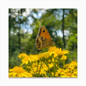 Spring - Summer, Orange Butterfly On Yellow Flowers in Forest. Canvas Print