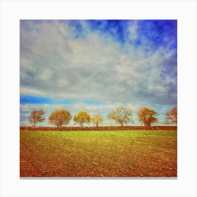 Line Of Autumnal Trees Square Canvas Print