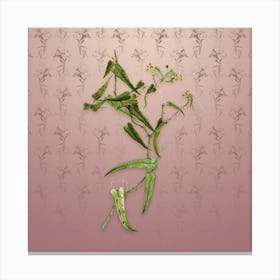 Vintage Rough Bindweed Botanical on Dusty Pink Pattern n.0985 Canvas Print