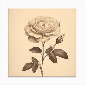 Rose Art Canvas Print